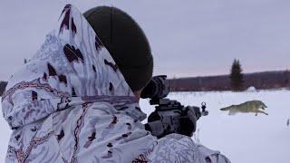 Охота на Волков на Вабу и на Приваде зимой 2024. 18+