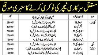 Government Schools Jobs 2024 - Government Teachers Jobs 2024 Announced - Download Application Form