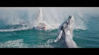 Whale Jump Water Simulation | Blender + FLIP Fluids Plugin