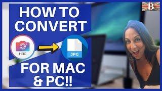 3 Ways on How to Convert HEIC Files to JPG on Mac & Windows