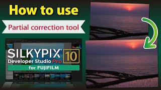 [Partial correction tool] SILKYPIX Developer Studio Pro10 for FUJIFILM