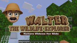 Walter Craft World - Digital Nature Videos for Toddlers and Kids - Educational Gaming #youtubekids