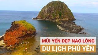 Đẹp nao lòng MŨI YẾN ở PHÚ YÊN | Ngắm san hô KHÔNG CẦN LẶN | Du lịch PHÚ YÊN