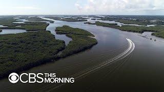 In Florida, climate change threatens Orlando's thriving oyster population