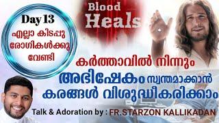 Day 13 - എല്ലാ കിടപ്പുരോഗികൾക്കു വേണ്ടി : 33 ദിവസത്തെ രോഗശാന്തി പ്രാർത്ഥന Blood Heals