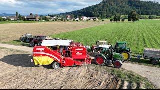 Kartoffelnernte   mit Pflanzenschutz Müller