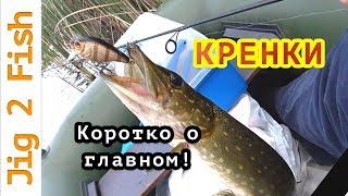 Это невероятно! КРЕНКИ, которые ловят ЩУКУ на мелководье!