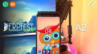 Install DerpFest 13 Official Tango on MI A2 - Jasmine Sprouts !