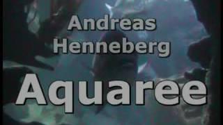 Andreas Henneberg - Aquaree / IDEAL Audio / official video