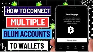 How To Connect Multiple Blum Accounts to Different Wallets 