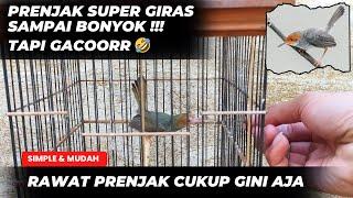 NIH SAYA BAHAS LAGI LEBIH DETAILRAWAT PRENJAK JANGAN DI BIKIN RIBET