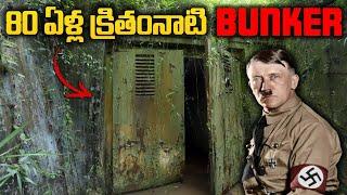 80-Year-Old Hidden Bunker Found! || DIgKore