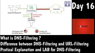 Fortigate DNS Filtering | What is DNS Filtering | DAY 16 | Fortinet NSE4 Training