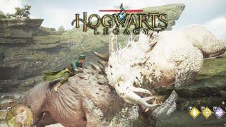 Witness the WHITE Graphorn and Rescue her in HOGWARTS LEGACY