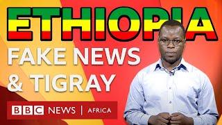 How to spot fake news about Ethiopia's Tigray crisis - BBC What's New