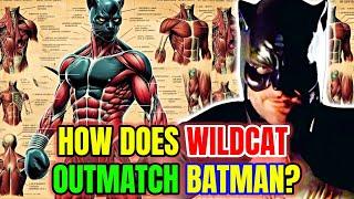 Wildcat Anatomy Explored -  Why Batman Chose To Learn Martial Arts From Him? Can Wildcat Defeat Him?