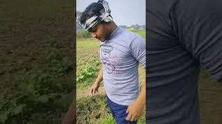 Khet me khad#trendingshorts #viralvideo #youtubeshorts #khetibadi #kheti