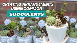 HOW TO Create Arrangements with “Common” Succulents