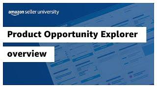 Product Opportunity Explorer overview