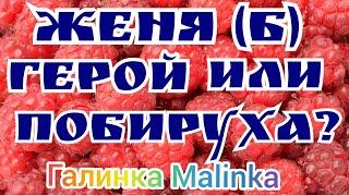 Деревенский дневник очень многодетной мамы /Женя Б/Кто такой Женя Б : Герой или Побируха? /