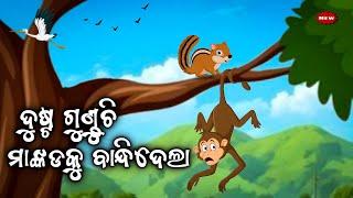 ଦୁଷ୍ଟ ଗୁଣ୍ଡୁଚି ଓ ମାଙ୍କଡ || squirrel and monkey story || Odia moral story || Odia Gapa