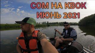 Сом на квок!!!! Июнь 2021