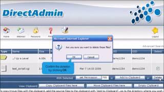 How to use File Manager in DirectAdmin