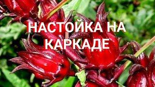 НАСТОЙКА НА КАРКАДЕ | АЛКОГОЛЬНЫЙ КОМПОТ