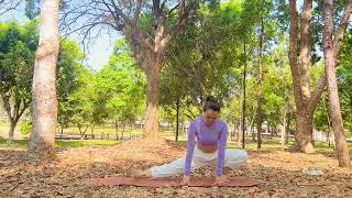 Best Middle Split Stretches, Yoga Art and Stretching