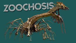 Zoochosis - ALL Animal Monsters MOVEMENT Animation Showcase