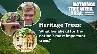 Hertiage Trees: What lies ahead for the nation's most important trees?