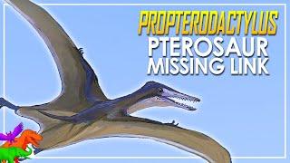 Tiny Pterosaur is Missing Link in Pterodactyloid Evolution | Dragons of Reality