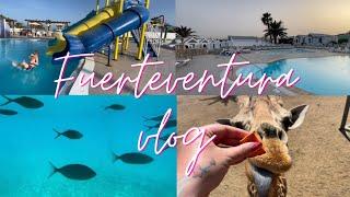 Caleta Dorada Fuerteventura holiday vlog