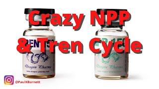 NPP, Tren, & Anavar Cycle - Anabolic Bodybuilding