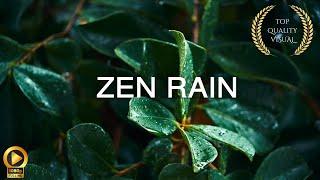 10 Hour | Calm Rain ASMR | Spiritual Rain Meditation | Relaxing Background Ambience