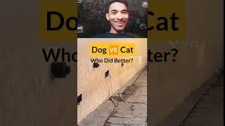 Dog VS Cat || who Did Better 