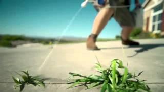 Casey Campbell   Roundup Commercial Ready to Use Weed   Grass Killer