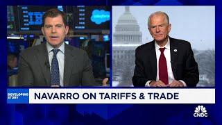 Peter Navarro: 'External Revenue Service' would bring U.S. back to era of tariff revenue