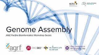 Genome Assembly | ANZ PacBio Bioinformatics Workshop Series