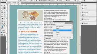 A Fast Way to Apply Styles in Adobe InDesign