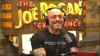 Joe Rogan and DC on Alex Pereira's brutal leg kicks.