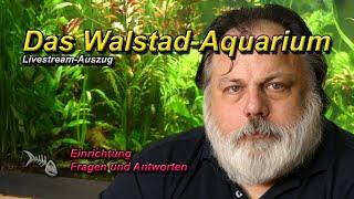 Das Walstad Aquarium - Was hältst du davon?