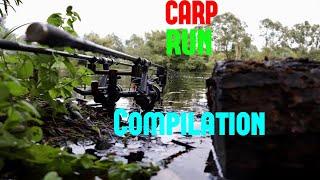 CARP RUN COMPILATION ! 2021