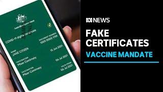 Anti-mandate groups spreading fake vaccine certificates to help others break COVID rules | ABC News