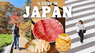 Tokyo Japan Vlog  Shopping at UNIQLO Japan, 4 Day Japan Itinerary, Shinjuku, Nagano, Karuizawa