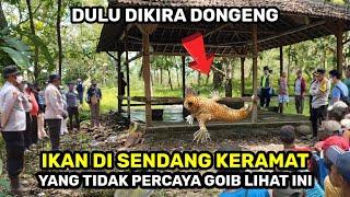 Ngeri.!detik² ikan penunggu sendang keramat muncul BENTUKNYA ANEH