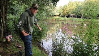 How to Catch Carp in a Small Pond - Carp Fishing England (Baits and Rigs)