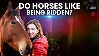 Do Horses Like Being Ridden? Exploring Freedom-Based Training with Elsa Sinclair
