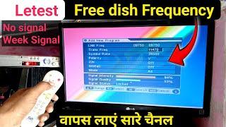 DD free dish frequency setting with no signal problem in dd free dish