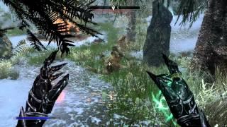 Skyrim: Master Alteration Mage